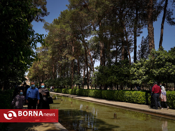 باغ دولت‌آباد یزد