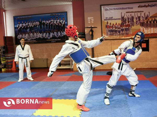 تمرین تیم ملی تکواندو