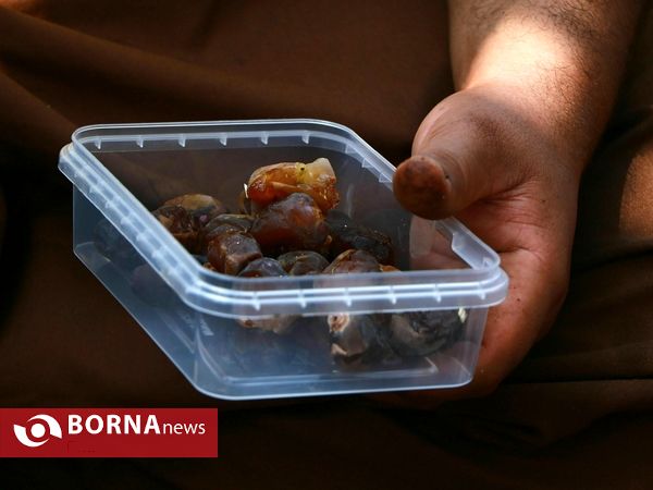 برداشت خارک و رطب روستای امام حسن(ع)