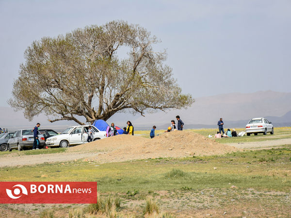 اراک در روز طبیعت