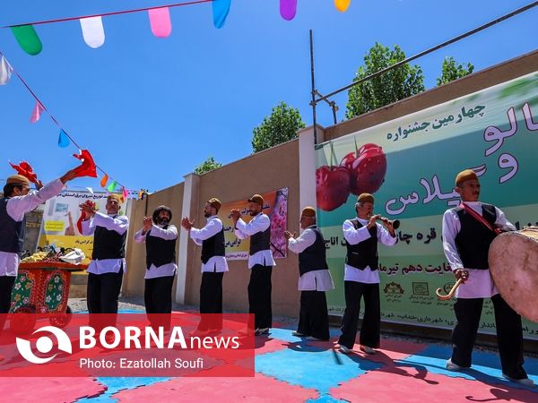 جشنواره آلبالو و گیلاس در دهستان اناج