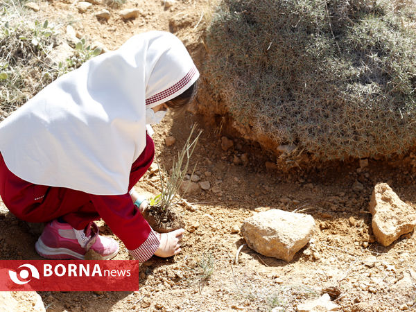 آیین روز درختکاری در شیراز