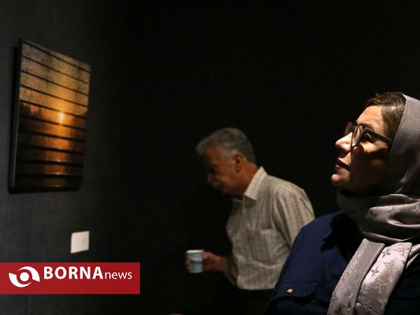 نمایشگاه انفرادی عکس های طلا فرجی