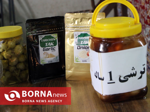 تیمورلو، پایتخت سیر ایران