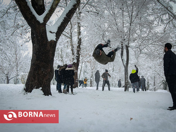 بارش برف در تهران-۴