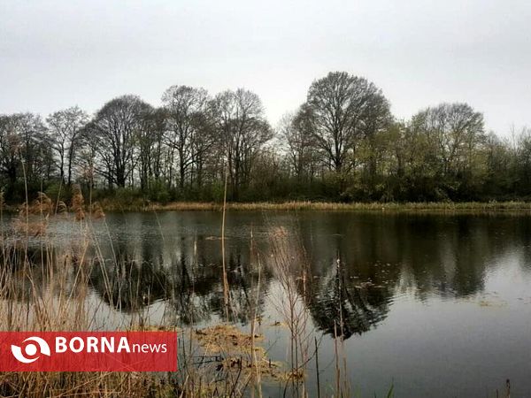 تالاب حاجی آباد لاهیجان