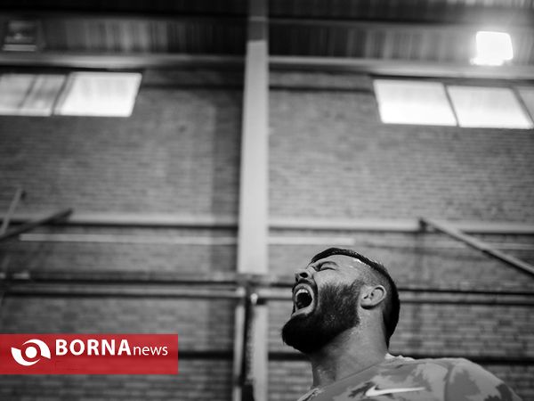 امیر علی اکبری قهرمان رشته MMA