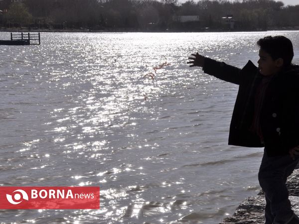 جاری شدن آب در زاینده روز