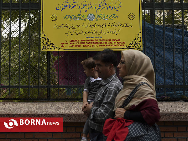 کلام نور در هیاهوی شهر
