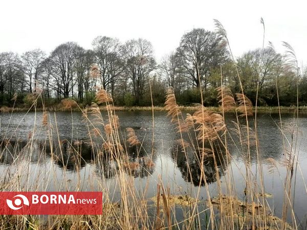 تالاب حاجی آباد لاهیجان