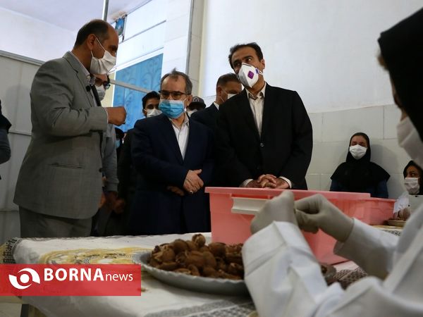 جهش تولید در سرزمین فتح - ۲