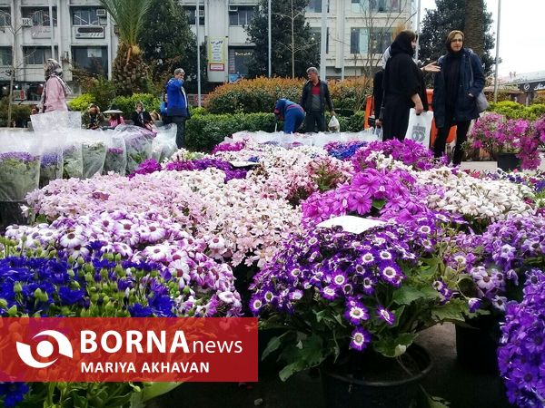 جشنواره گل و گیاه رشت 