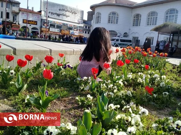 شکوفه های بهاری _ رشت