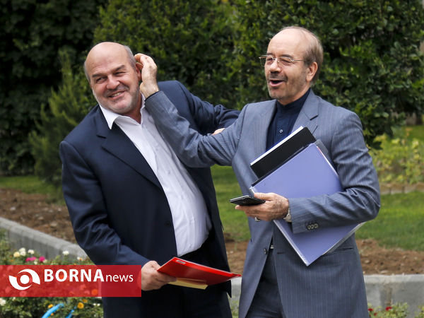 در حاشیه جلسه هیات دولت