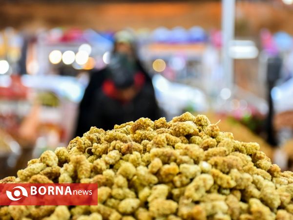 شور  یلدای در آخرین ایستگاه  پاییز