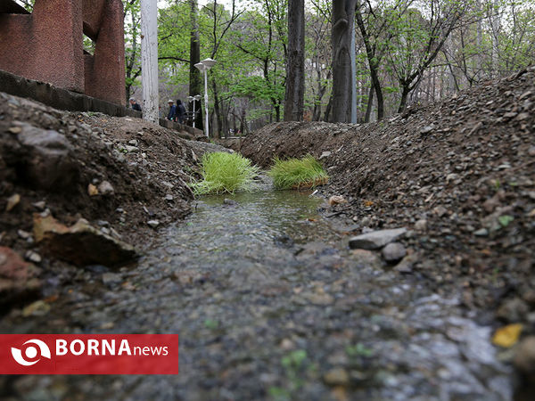 13 فروردین روز طبیعت- بوستان قیطریه