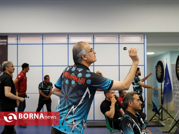 اولین دوره لیگ برتر دارت