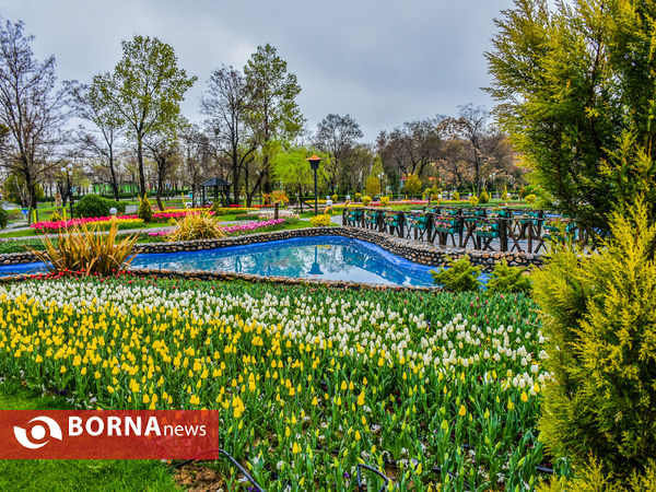 جشنواره گل‌های لاله