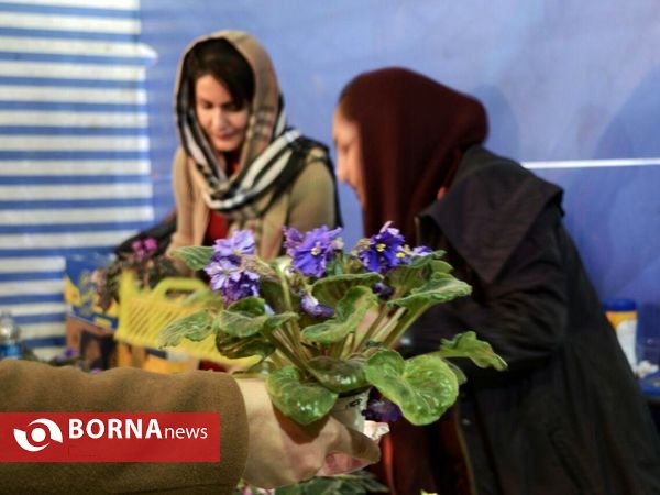 نمایشگاه گُل و  گیاه، سوغات محلی و ادویه‌ ویژه نوروز  در کرمانشاه