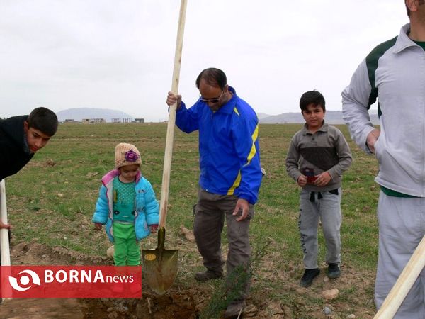 آغازفعالیتهای درختکاری در رومشکان درآستانه هفته منابع طبیعی