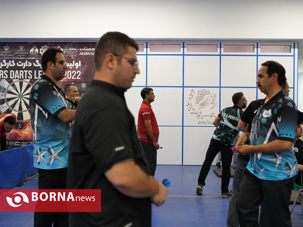 اولین دوره لیگ برتر دارت