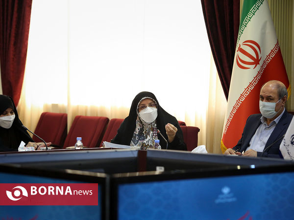 دیدار استاندار و نمایندگان کرمان در مجلس شورای اسلامی با وزیر ورزش و جوانان