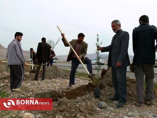 آغازفعالیتهای درختکاری در رومشکان درآستانه هفته منابع طبیعی