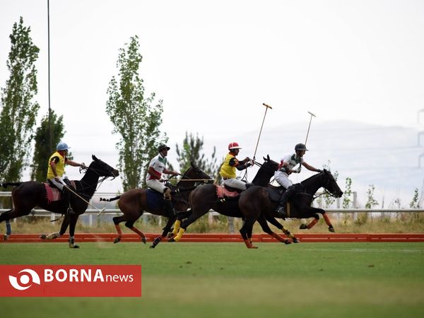 ،مسابقات چوگان جام هفته دفاع