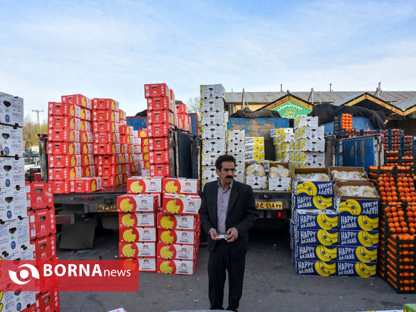 میدان میوه و تره بار در روزهای پایانی سال
