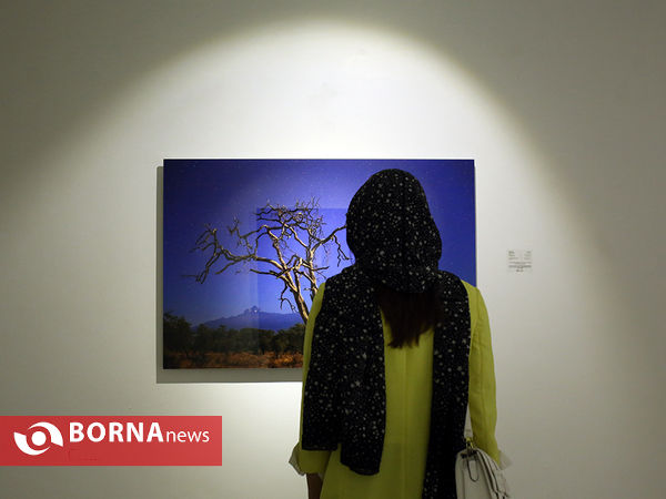 نمایشگاه عکاسی "شب پیداست"