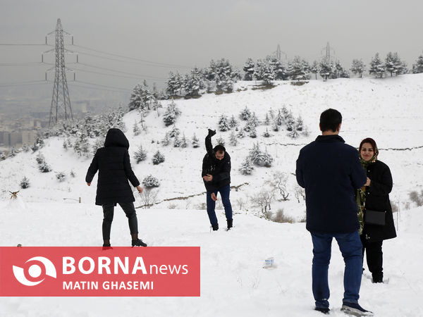 بارش برف در تهران