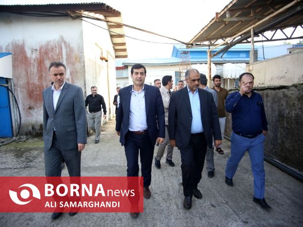 بازدید وزیر جهاد کشاورزی از ظرفیت های کشاورزی و شیلاتی بندرانزلی