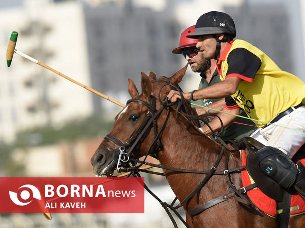 لیگ  ملی چوگان