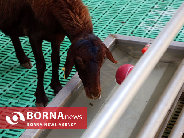 توانمندی های بخش کشاورزی شهرستان شبستر