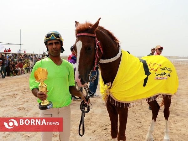 دور دوم مسابقات اسبدوانی اسب اصیل عرب - جام بُراق اروند