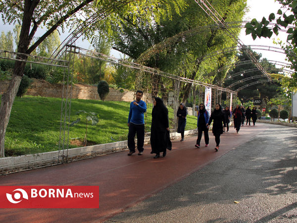 همایش پیاده روی کارکنان وزارت ورزش  و جوانان در هفته تربیت بدنی