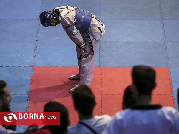 لیگ برتر تکواندو