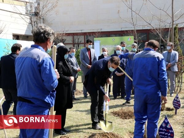 مراسم روز درختکاری در آکادمی ملی المپیک