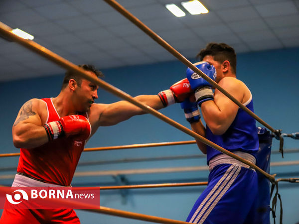 مسابقات بوکس قهرمانی بزرگسالان استان مرکزی