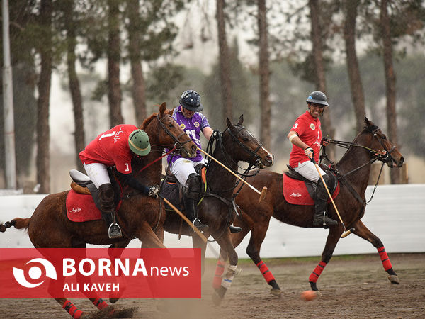 مسابقات چوگان جام قهرمانی باشگاه‌های کشور