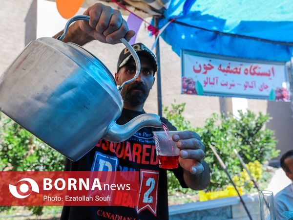 جشنواره آلبالو و گیلاس در دهستان اناج