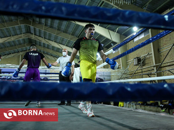 تمرین تیم ملی بوکس