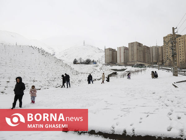 بارش برف در تهران