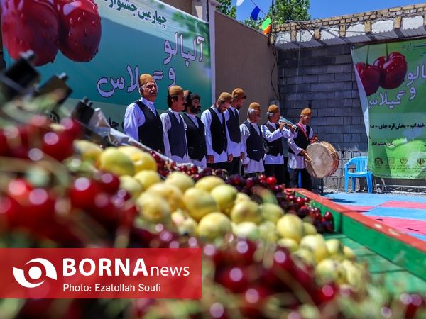 جشنواره آلبالو و گیلاس در دهستان اناج