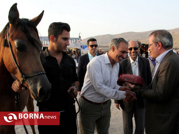 جشنواره بین المللی زیبایی اسب اصیل ایرانی در شیراز