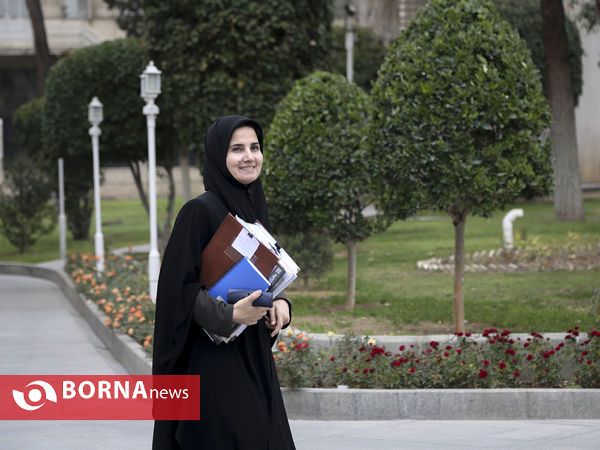 حاشیه جلسه هیات دولت