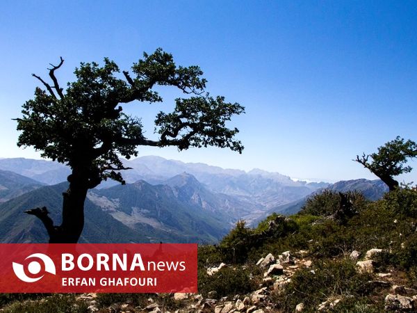 طبیعت زیبای شهرستان ساری