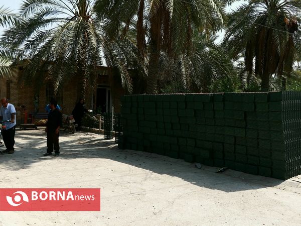 برداشت خارک و رطب روستای امام حسن(ع)