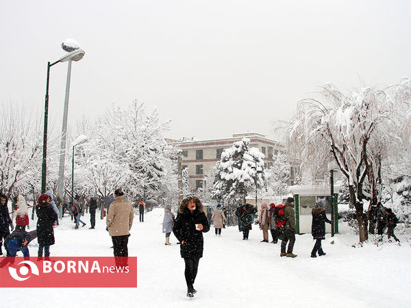 بارش برف در تهران