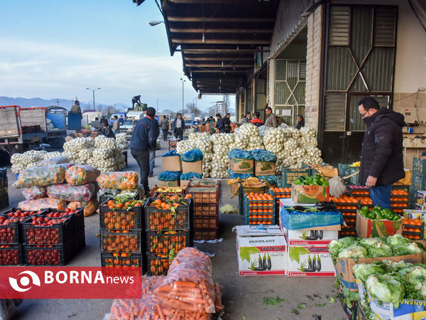 میدان میوه و تره بار در روزهای پایانی سال